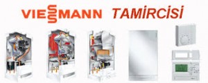 Florya,viessmann,servisi