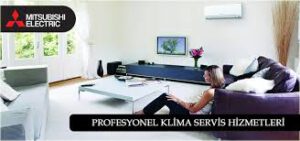 Bahçeşehir mitsubishi,servisi