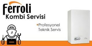 Esenyurt,feroli,servisi